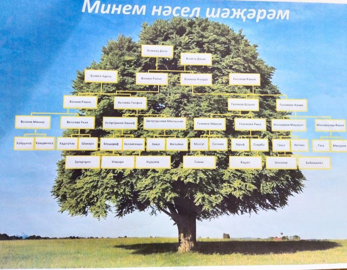 Минем нәселем шәҗәрәсе